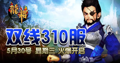 龙将310服